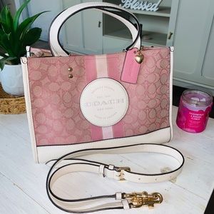 Valentine’s Day Collection Coach Purse